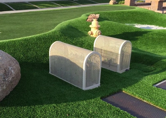 6666.png